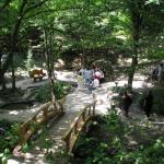 NGV_IMG_0974